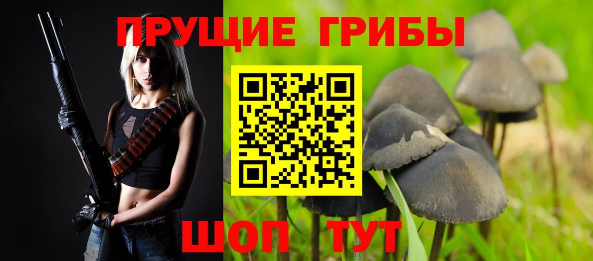 Новороссийск  Галлюциногенные грибы Psilocybine cubensis  Псилоцибиновые грибы GOLDEN TEACHER  Вход с VPN 